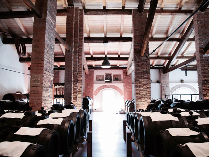 Food & Drinks 4, La Cascina di Balsamico Bonini, Modena