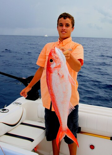 Bimini Sands Resort & Marina,