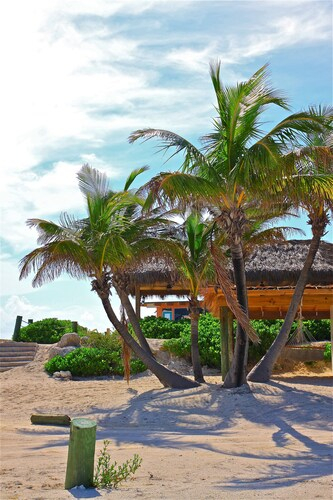 Bimini Sands Resort & Marina,