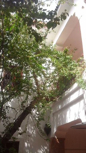 Exterior & Views 2, Riad Aldiana, Marrakech