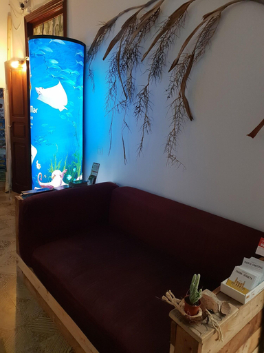 Public Area 3, Cactus Host, Las Palmas
