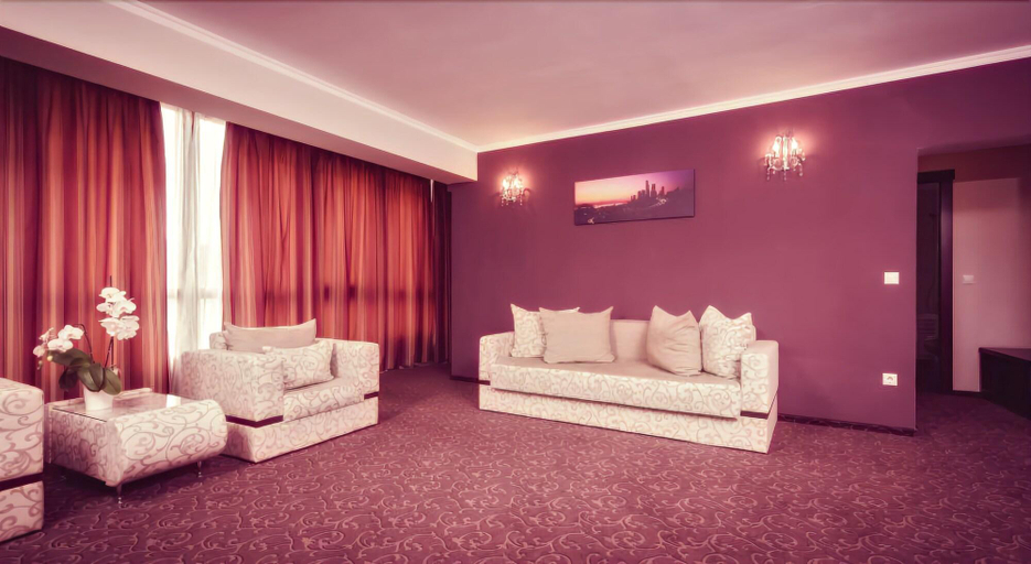 Public Area 3, Hotel Ozana, Bistrita