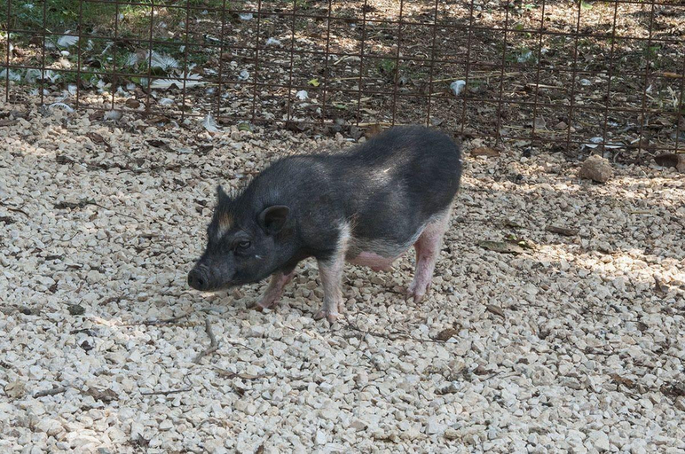 Others 5, Agriturismo Kelle Terre, Frosinone