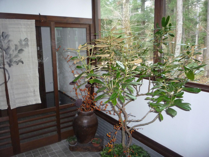 Public Area 2, Sekkasai Lodge, Hakuba