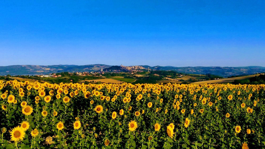 Exterior & Views, Il Focolare, Perugia