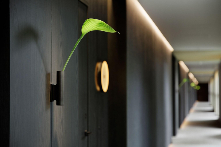 Public Area 5, The Ritz-Carlton, Nikko, Nikkō