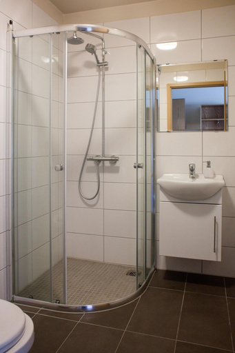 Bathroom 4, Guesthouse Svínavatn, Svínavatnshreppur