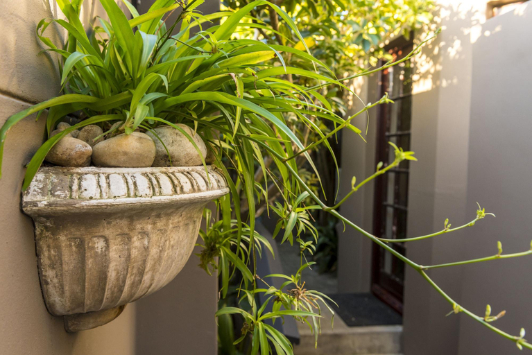 Exterior & Views 2, Kingfisher GuestHouse, Nelson Mandela Bay