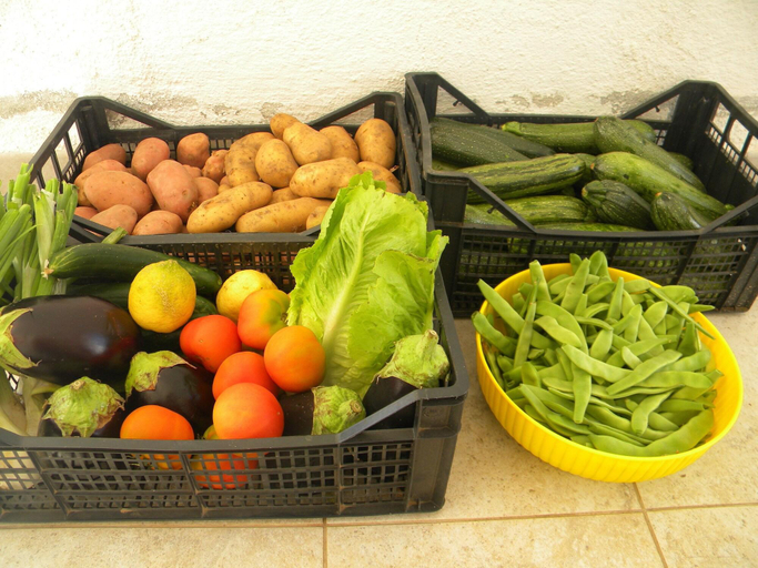Food & Drinks 5, Agriturismo Sa Conca Ruia, Nuoro