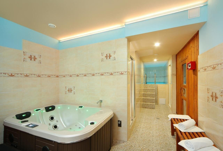 Bathroom 4, Hotel Hradec, Trutnov