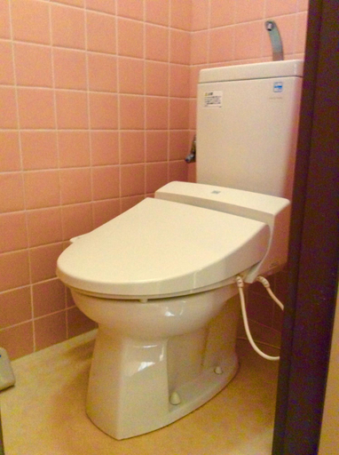 Bathroom 4, Villa Dogo, Matsuyama