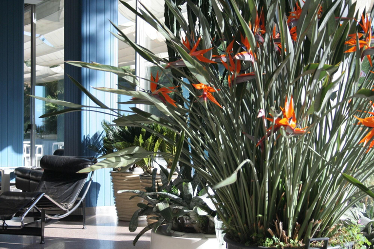 Public Area 4, Hotel Caravelle Thalasso & Wellness, Imperia