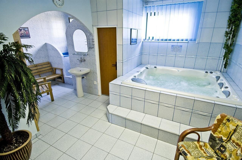 Bathroom 4, Hotel Relax U Drsu, Tábor