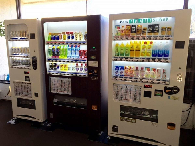 Public Area 3, HOTEL LiVEMAX KASAI EKIMAE, Edogawa