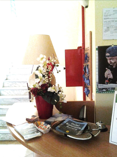 Public Area 3, Hotel Aurora, Savona