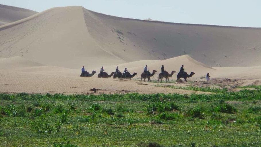 Public Area 3, Dar Pienatcha, Zagora