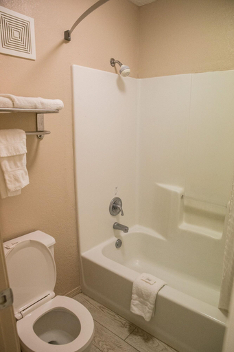 Bathroom 4, Mockingbird Inn & Suites, Monroe
