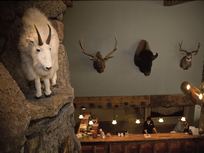 Public Area, Three Bear Lodge, Gallatin