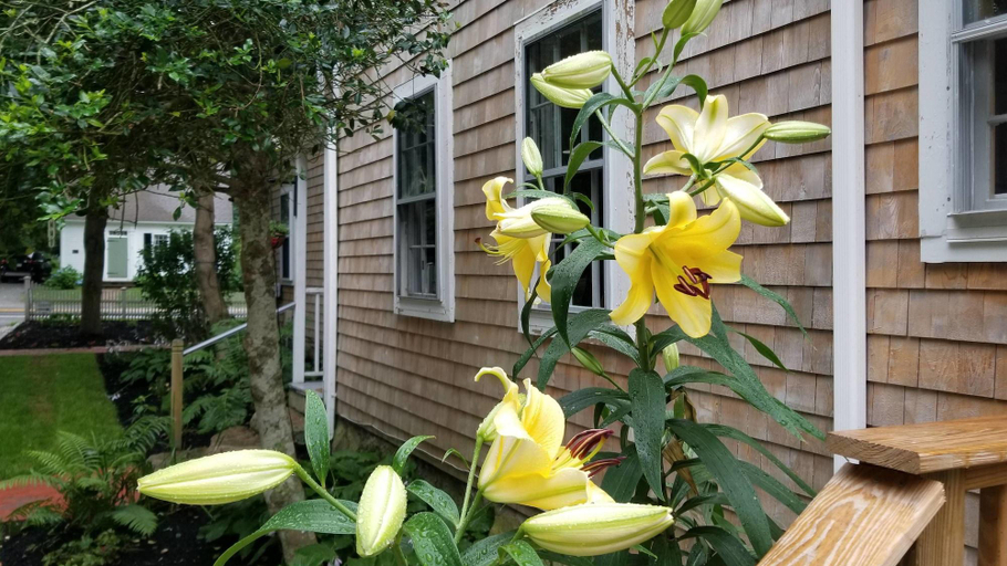 Exterior & Views