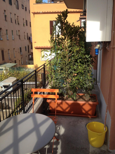 Bedroom 4, Bed and Breakfast New Morning, Rome