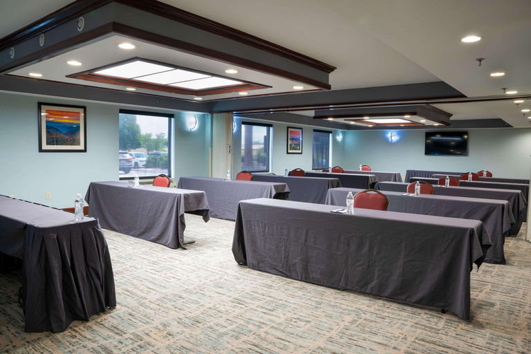 Public Area 2, Comfort Suites Outlet Center, Buncombe