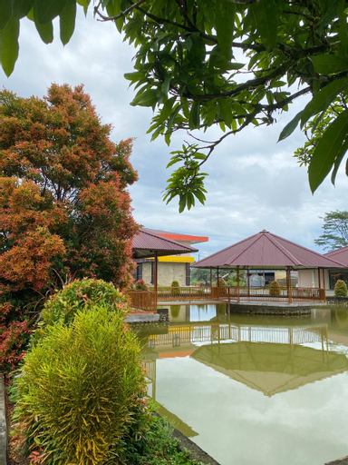 Kanguru Timika, Mimika