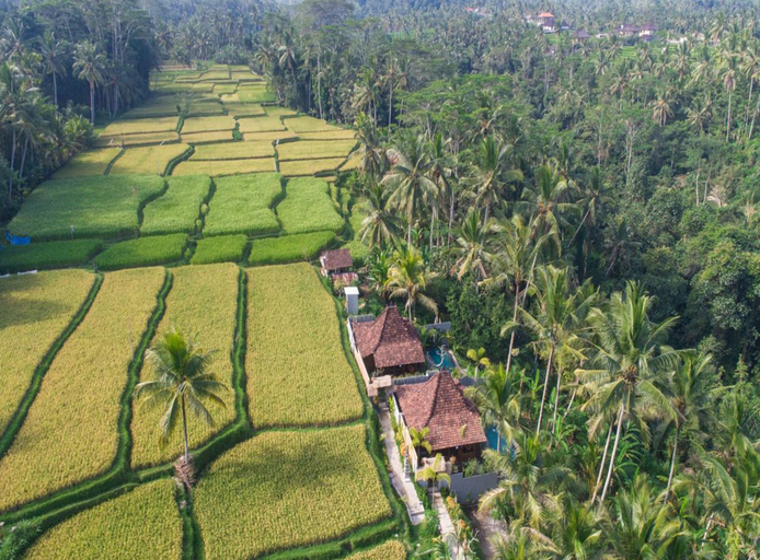 Mandana Ubud Villa - Others