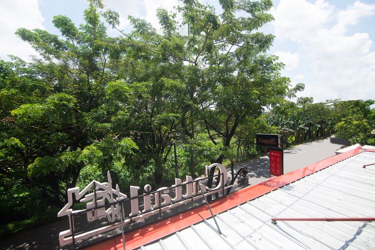 OYO 3729 Cattail Guest House, Pontianak