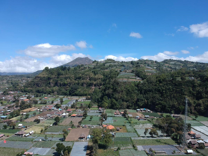 Others 5, Tamalia House, Bangli
