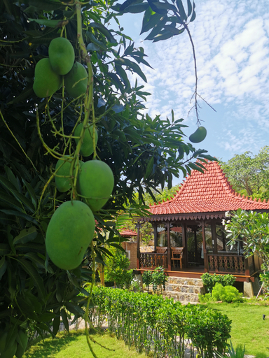 Exterior & Views 2, Mirabelle Joglo Village, Jepara