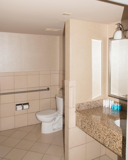 Bathroom 5, Marriott Jacksonville Downtown, Duval
