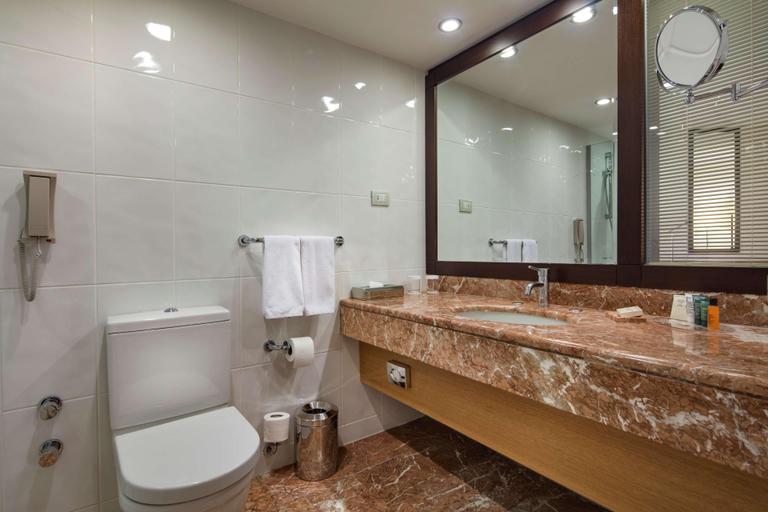 Bathroom 5, Mersin HiltonSA, Merkez