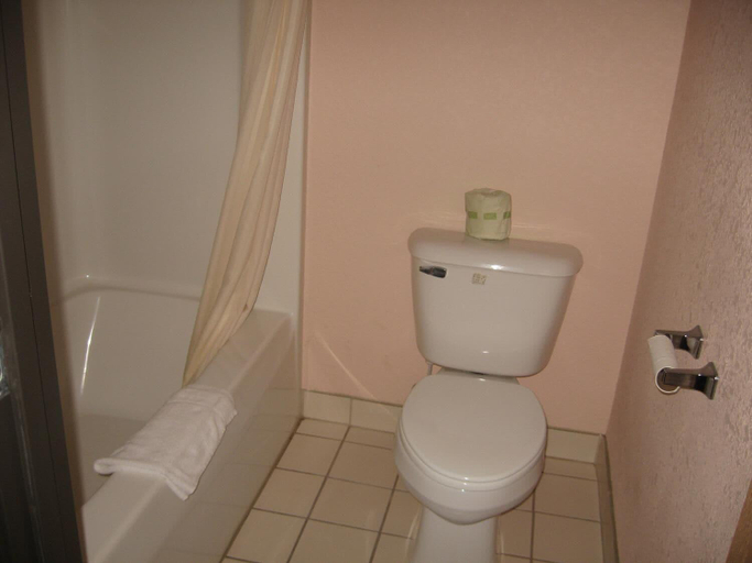Bathroom 3, Mackinaw Budget Inn, Cheboygan