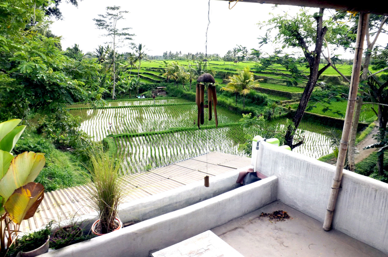 Scenery 6