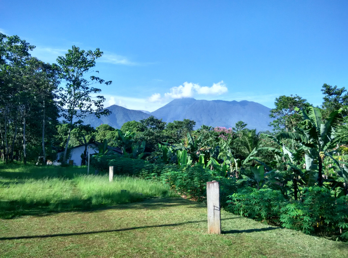 Others 5, Villa Green Valley Puncak RedPartner, Bogor