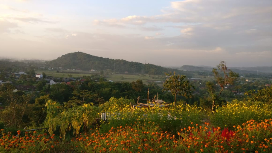Pangol Hill Camp Center, Bantul