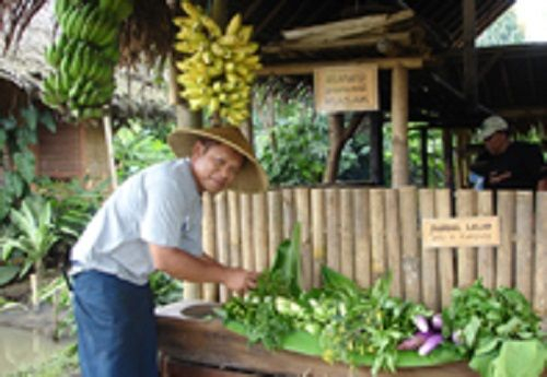 Mulih Ka Desa Resort, Garut