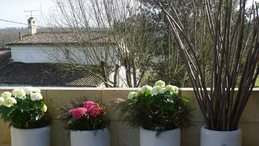 Others 5, Clos de la Barbanne, Gironde
