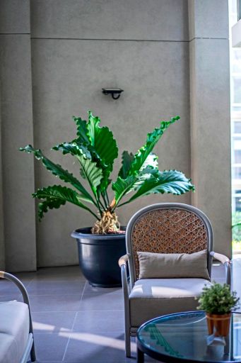 Exterior & Views 10