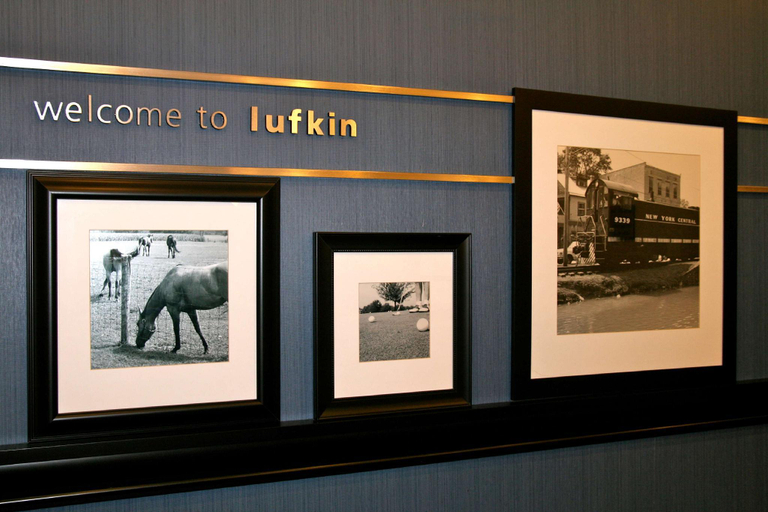 Public Area 2, Hampton Inn & Suites Lufkin, Angelina