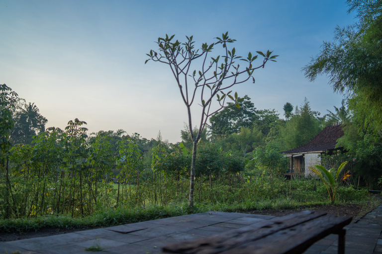 Scenery 5