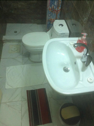 Bathroom 4, My Home Petra Hotel, Wadi Musa
