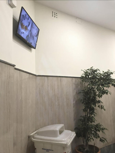 Bathroom 5, International Naples, Napoli
