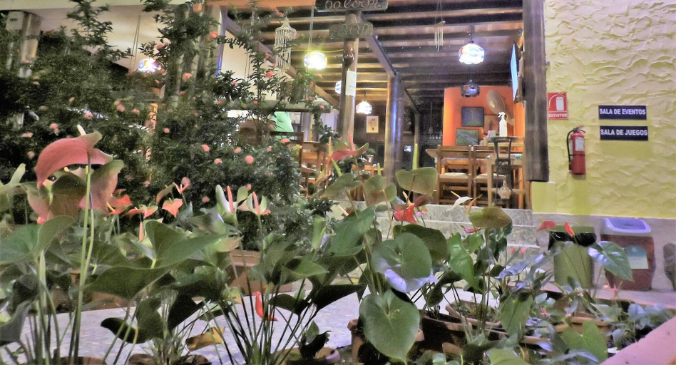 Food & Drinks 5, Hostera A Puerto Gaviota, Atacames