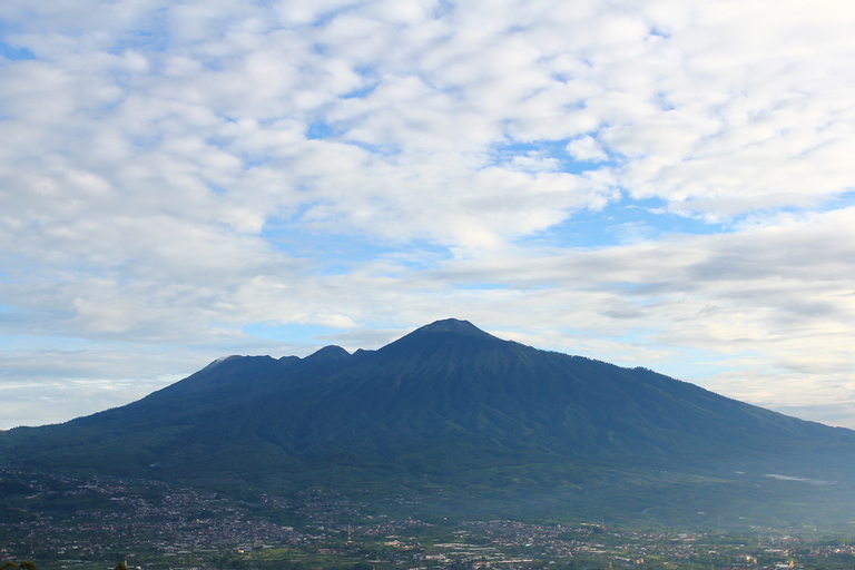 The Peak Villa A1, Malang