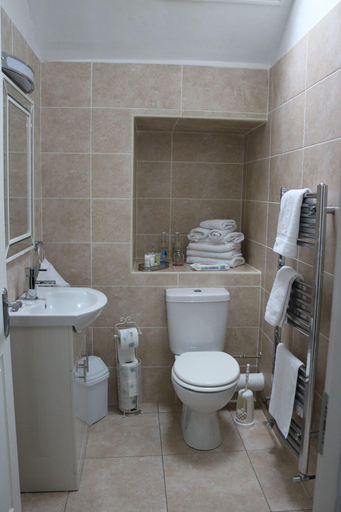 Bathroom 5, New Park Hotel Athenry