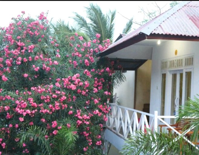 Gerald Homestay, Lombok