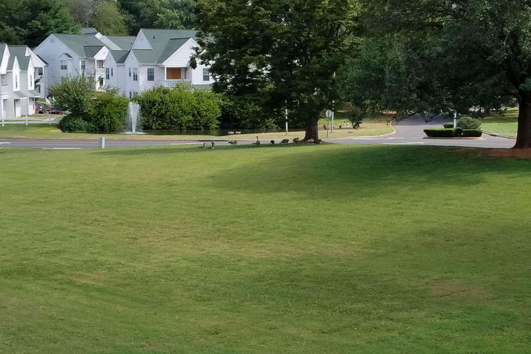 Exterior & Views 2, Quality Inn Culpeper, Culpeper