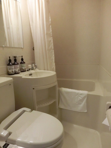 Bathroom, Namba Plaza Hotel, Osaka