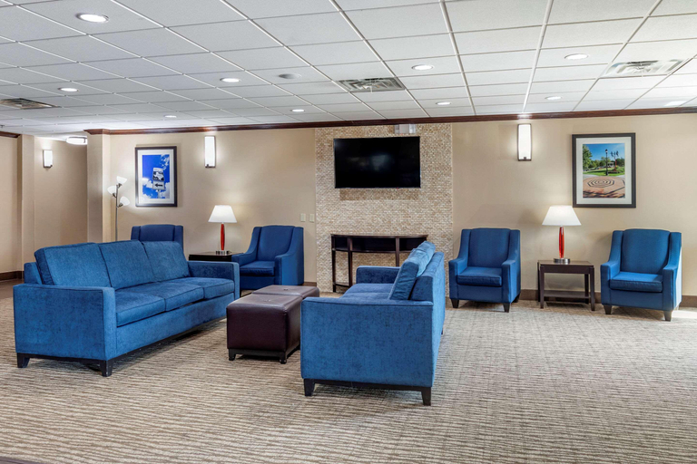 Public Area 2, Comfort Suites Plano - Dallas North, Collin